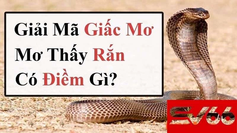 Mơ Thấy Rắn Báo Hiệu Điềm Gì?